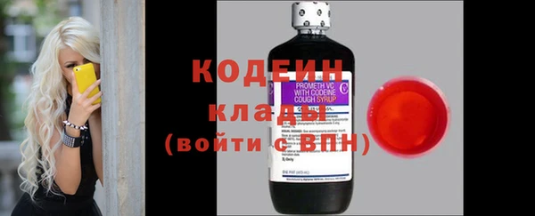 ГАЛЛЮЦИНОГЕННЫЕ ГРИБЫ Балахна