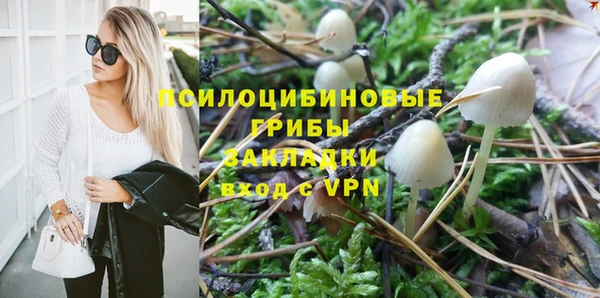 гашик Балабаново