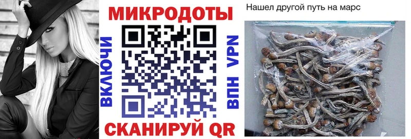 Купить закладки  Шарыпово  Псилоцибиновые грибы Psilocybine cubensis 